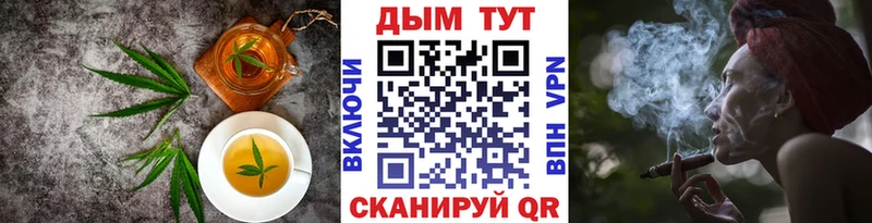 ссылка на мегу как войти  где можно купить наркотик  Магадан  Cannafood марихуана 