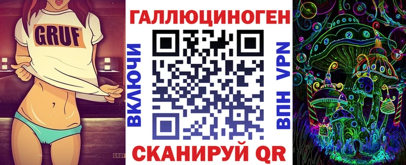 купить закладку  Магадан  Псилоцибиновые грибы мицелий 